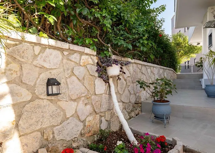 Jiota 3*
